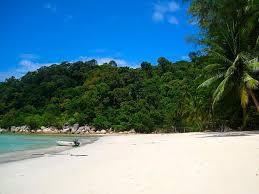 Kuala besut is easily accessible through kota bharu & kuala terengganu airport. Busonlineticket Com