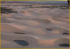 The park offers over 1600 acres of rideable sand dunes ranging in height from 25 feet (7.6 m) to 75 ft (23 m)}}. Waynoka Ok Arial Veiw Of Waynoka S Little Sahara Sand Dunes With Several Riders A Top Each Of The Dunes The Dunes Sand Dunes Sand