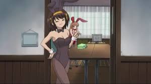 In the problem children are coming from another world, aren't they? Top 15 Cute Anime Bunny Girls Myanimelist Net