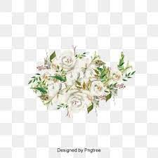 Beautiful Hand Painted Cartoon White Roses Decorative Elements Roses Clipart Aesthetic Cartoon Png Transparent Clipart Image And Psd File For Free Download Flower Illustration Cartoon Clip Art White Rose Flower
