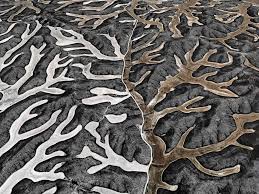 Edward Burtynsky Wants to Change How We See Water - 1stDibs Introspective