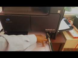 Щоби не відбувалося в економіці загалом, поліграфічна галузь, зокрема виробництво. How To Use Konica Minolta Bizhub 206 Xerox Or Photocopier Part 1 Youtube