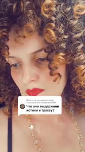 Cats Showdown: Adorable Cat Fights and Moments