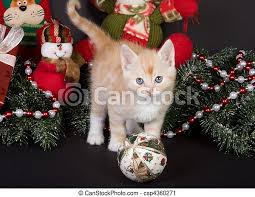See christmas cat stock video clips. Christmas Kitten Six Weeks Old Kitten Playing With Christmas Decorations Canstock