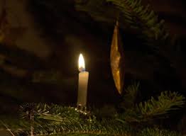 History Of The Christmas Tree Burkholder Holiday Pop Up Market