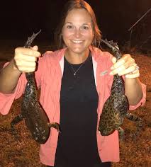 Use them in commercial designs under lifetime, perpetual & worldwide rights. Vanishing Paradise