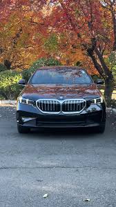 Image result for Black Sapphire 2025 i5