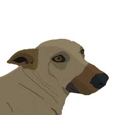 Petland a maior rede do brasil. Placa Decorativa Cachorro Caramelo Quadrado Shopee Brasil