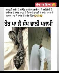 Cute Quotes For Life Cute Quotes Punjabi Funny