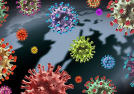 It has since spread to more than 80 countries worldwide, including to the us — where the cdc on tuesday officially. What Scientists Know About The B 1 617 Coronavirus Variant The Scientist Magazine