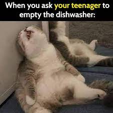 30 Hilarious Random Memes That Made Us Smile This Week Bouncy Mustard