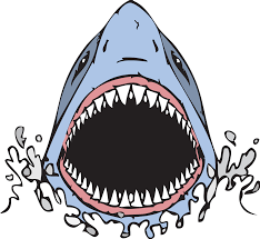 Draw Sharks Shark Drawing Open Mouth Drawing Shark Mouth Open