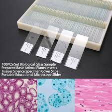How to make microscope from old compact camera and dvd drive. 100pcs Set Microscope Slides Biological Glass Sample Prepared Basic Animal Plants Insects Tissues Science Specimen Cover Slips Microscope Parts Accessories Aliexpress