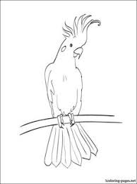 Learn more about third wave specialty coffee. 31 Australia Ideas Australian Animals Animal Coloring Pages Coloring Pages