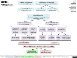 chronic obstructive pulmonary disease copd pathogenesis