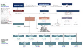 organisation chart kozen jasonkellyphoto co