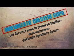 Cea mai mare indemnizatie de crestere a copilului se ridica la aproape 160.000 de lei lunar, adica aproape 36.000 de euro. Indemnizatie Crestere Copil Cat Dureaza Pana Primim Banii Si Ce Acte Trebuie Sa Contina Dosarul Youtube