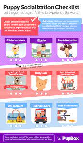 We did not find results for: Puppy Socialization Checklist Askfasr