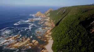 We have reviews of the best places to see in garden route. Above The Garden Route In South Africa 4k Uhd Youtube