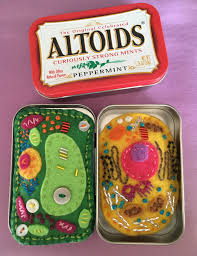 Check spelling or type a new query. Compare And Contrast Plant And Animal Cell Models That Fit Into An Altoids Tin Constructed From Felt B Plant And Animal Cells Animal Cell Project Animal Cell