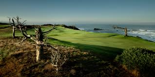 On this page, we will provide you with an updated list of all the shindo life codes for march 2021, to give you a big boost in game! Why The Lore Of Bandon Dunes Gets Stronger With Sheep Ranch Our 2020 Best New Winner Courses Golf Digest