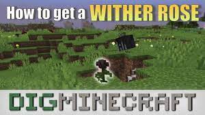 Like most flowers, players may think that these are just placed in the game as part of the scenery, however, this flower is different from the. How To Make A Wither Rose In Minecraft