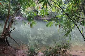 395 (seperti) isi dengan kuku perhubungan yang sangat erat, tidak boleh dipisahkan. Lubuk Ikan Umpan