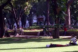 Ruang terbuka hijau bagus pertama yang bisa kita temui di ibukota namanya yaitu taman cattleya, letaknya itu ada di jalan letjend s.parman no.99, kemanggisan, daerah palmerah. 5 Taman Rindang Di Jakarta Untuk Berwisata Akhir Pekan Halaman All Kompas Com