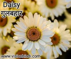 Flowers are one part of common words used in daily life. 20 Rare Flowers Name In Hindi With Picture à¤« à¤² à¤• à¤¨ à¤®