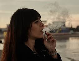 Lieder Projects :: Photos, videos, logos, illustrations and branding ::  Behance