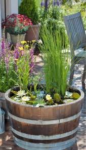 Teich Im Eimer Fass Schilf Graeser Wasser Seerose Garten Bepflanzung Wassergarten