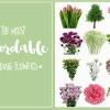 We've spoken to a range of professional florists, who offer all kinds of services, to give you some flower cost guidelines. Https Encrypted Tbn0 Gstatic Com Images Q Tbn And9gcsf2sije Bb929wih7sv7mthevprkovic2ek516k10tjdxq9ciq Usqp Cau