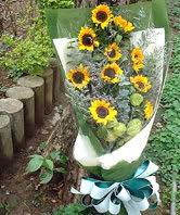 Check spelling or type a new query. Taipei City Flowers Delivery Send Flowers Taipei City Florist In Taipei City Yaoflowers