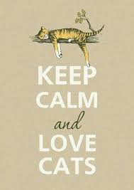 Keep Calm Kedi Sanati Kedi Kopek