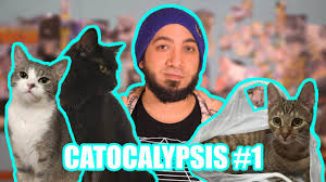 Sebestyén balázs szerdán rettentő felháborodott posztban tudatta, mennyire neheztel határozott véleménye van az ügyről. Mit Csinal A Koronavirus A Macskammal Mancave Youtube