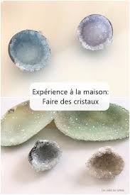 Une Experience Amusante Et Facile A Faire A La Maison Faire Pousser Des Cristaux Dans Des Coquillages Et Dans Des O Experience A Faire Faire Soi Meme Cristaux