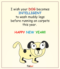 New year's quotes 2020 : 35 Hilarious And Funny New Year Wishes For Friends To Screw Posthood