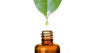Vitaoil international ltd is a private limited with share capital company based in 49 west ham lane, london, west ham lane, london 2 woodberry grove, united kingdom, which employs 2 people. Vitaoil The Natural Antioxidant For Food Industry