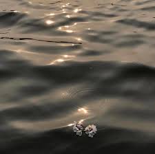 Someday We Will Find What We Are Looking For 112 Kedveles 2 Hozzaszolas Drink Real Beauty Cilkrosewater Instagram Hozzaszolasa Someday We Will Find Wh Aesthetic Pictures Instagram Water Aesthetic