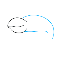 Draw the back legs at the end of the back. How To Draw A Chameleon Really Easy Drawing Tutorial