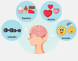 Image result for Dopamine