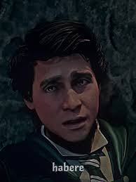 Sebastian Sallow Anne