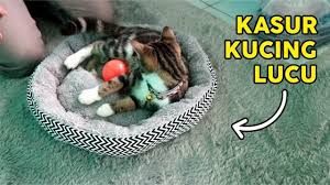  Tips Memilih Kasur Untuk Kucing Unboxing Harga Murah Desainya Imut Banget Tutorial Wow Youtube