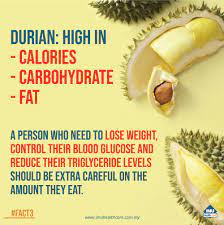 Imu News Can A Durian A Day Keep The Doctor Away
