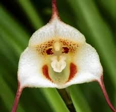 Image result for ����С���m