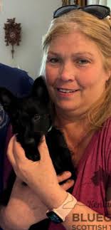 Scottish Terrier World