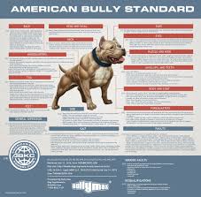 27 Described American Bully Breeding Color Chart