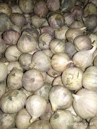 4 ulas bawang putih (cincang) 3 ulas bawang merah (hiris halus) 150ml susu cair; Bawang Putih Tunggal Palembang Eceran Shopee Indonesia