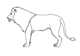 Drawing lions can be one of the most fulfilling ways to express your artistic side. How To Draw A Lion Full Body Step By Step Novocom Top