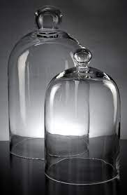 See more ideas about glass cloche, cloches, the bell jar. Broken Glass And A Cat Not The Best Combination Glass Bell Jar Glass Cloche The Bell Jar
